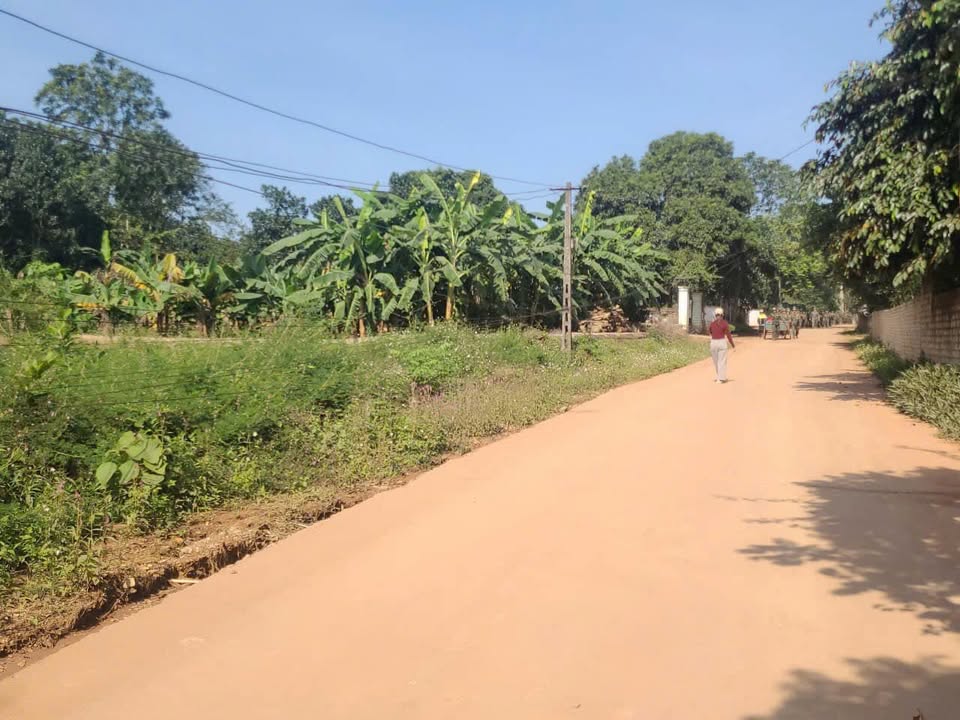 Đất thổ cư 108m² xã Thọ Phú, Triệu Sơn - Giá chỉ 500 triệu, đầu tư sinh lời!