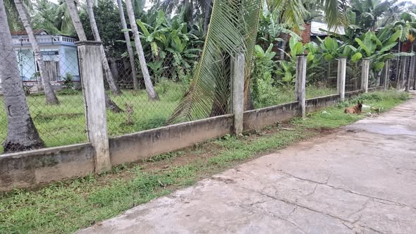 Đất nền khu phố Trung Hóa, Tam Quan Nam 325m² giá chỉ 1.2 tỷ - Đầu tư sinh lời ngay!