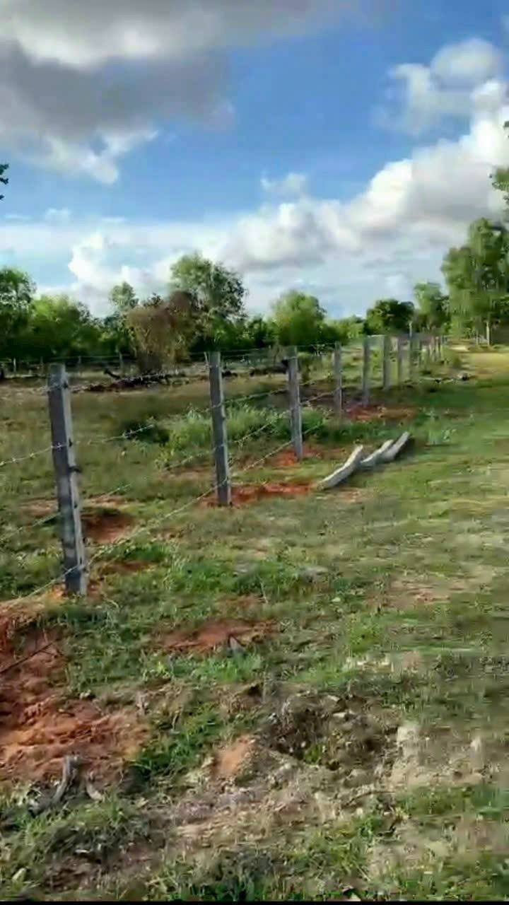 Đất CLN 1 Hecta Thiện Nghiệp, Phan Thiết - Giá 32 tỷ, Tiềm năng phát triển cao!