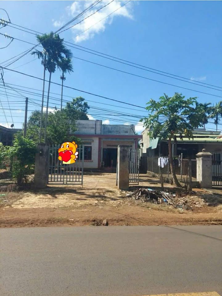 Đất nền mặt tiền QL29 xã Phú Xuân 515m² giá 3.25 tỷ - Kinh doanh sầm uất!