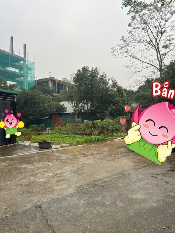 Đất thổ cư 106m² tại Vân Phú, Việt Trì - Đầu tư sinh lời hấp dẫn!