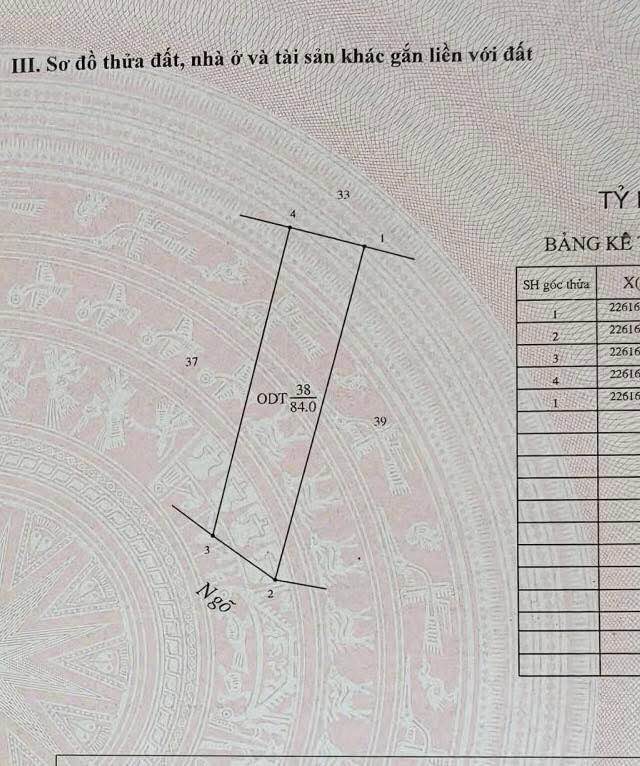 Đất nền đường Trần Thái Tông, Lộc Vượng, 84m² giá 2 tỷ - Đầu tư sinh lời ngay!
