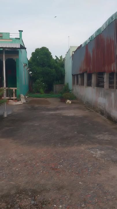 Đất nền Gò Công 179.7m² giá chỉ 750 triệu - Mặt tiền kinh doanh thuận lợi!