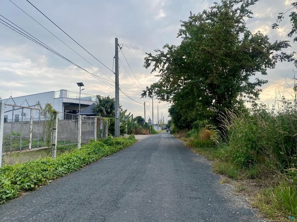 Đất vườn nghỉ dưỡng Tây An Bờ Hồ, Long Xuyên 1003m² giá 1 tỷ - Cơ hội đầu tư tuyệt vời!