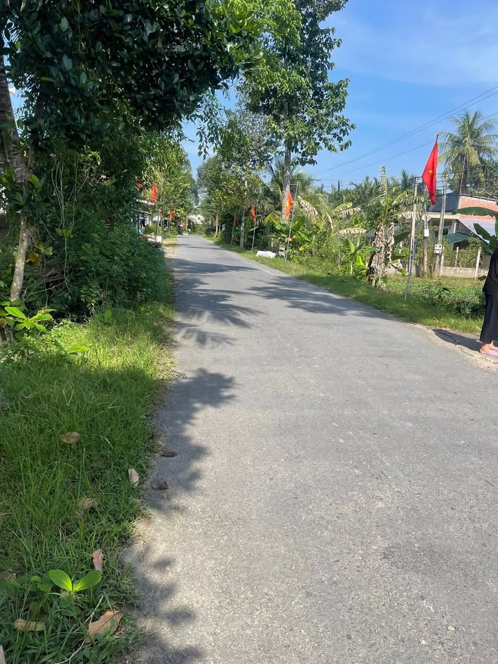 Đất nền Phước Hiệp 116m² giá chỉ 500 triệu - Kinh doanh sầm uất!