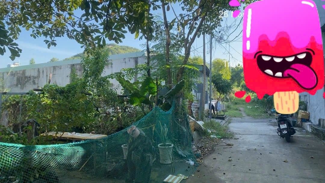 Đất nền Long Hải 119m² giá 1.5 tỷ - Sổ đỏ chính chủ, bớt lộc!