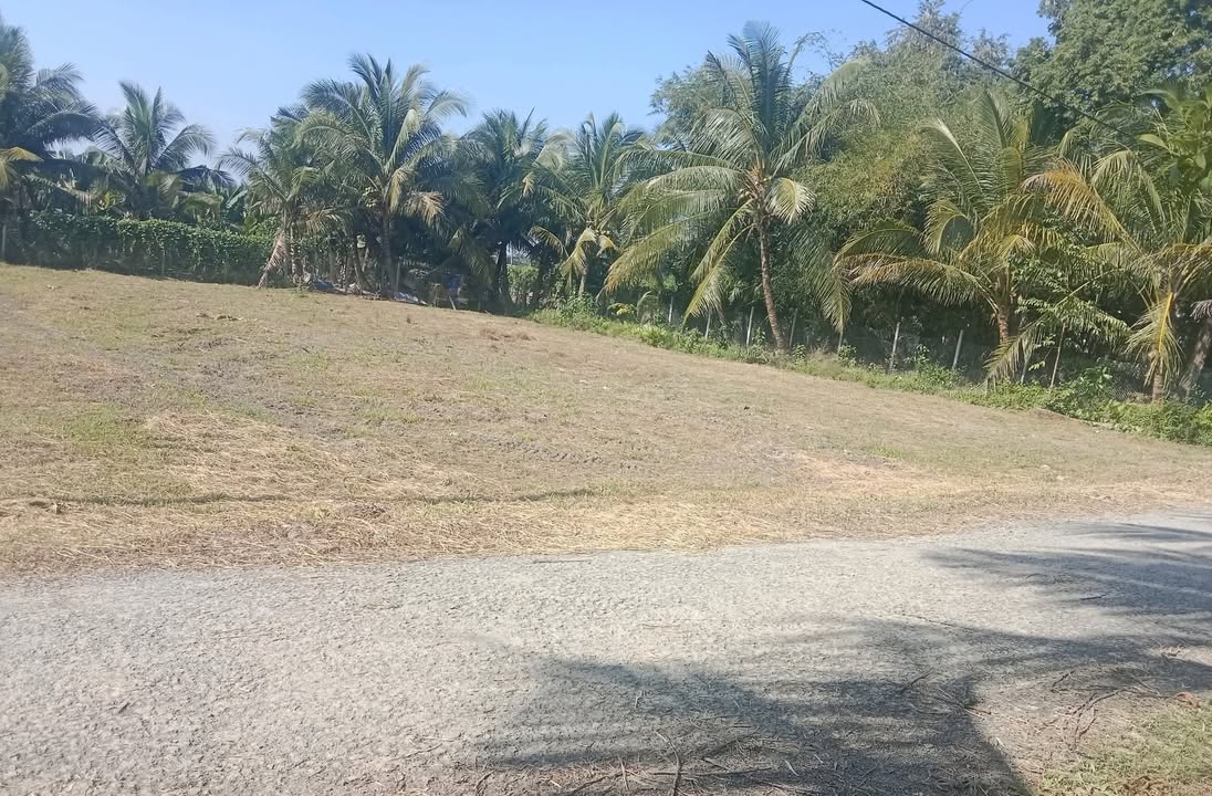 Đất nền Tân Long Hội 180m² giá 320 triệu - Cơ hội đầu tư không thể bỏ qua!