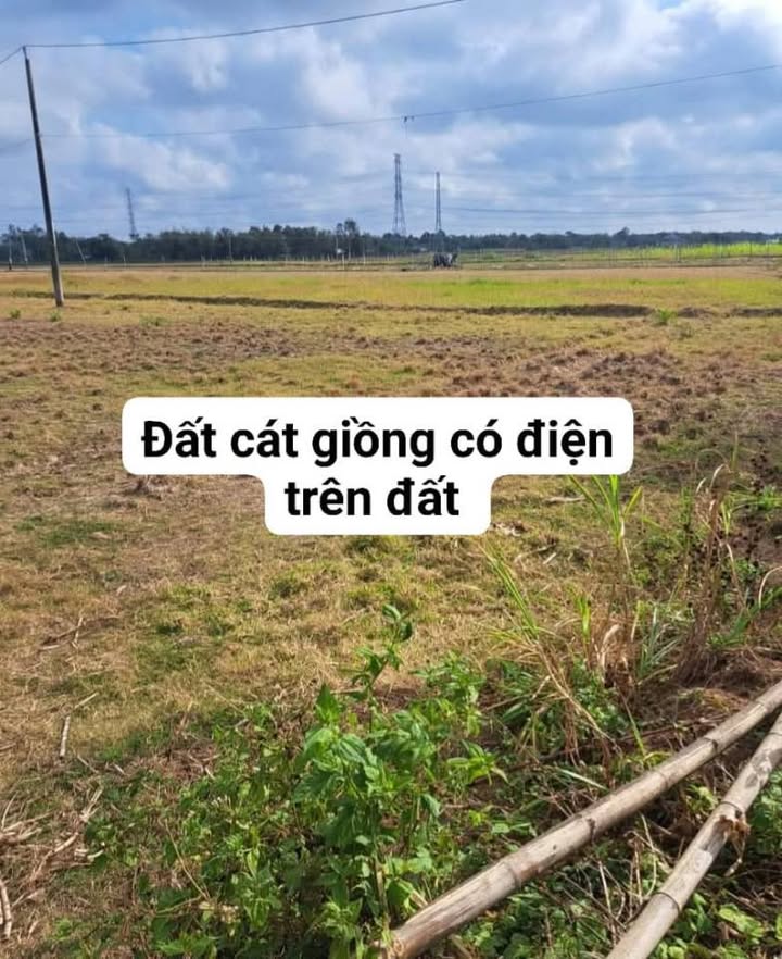 Đất ruộng ấp Sóc Ớt, Ngũ Lạc 7514m² giá 120 triệu - Cách tỉnh lộ 914 chỉ 40m!