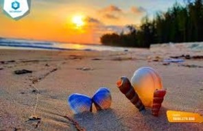 Đất nền 360m² tại Thôn Mũi Đá, La Gi chỉ 1,6 tỷ - Cơ hội đầu tư hiếm có!