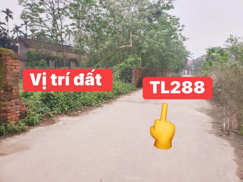 Đất nền Đoan Bái, Hiệp Hòa 100m² giá chỉ 1 tỷ - Cơ hội đầu tư tiềm năng!