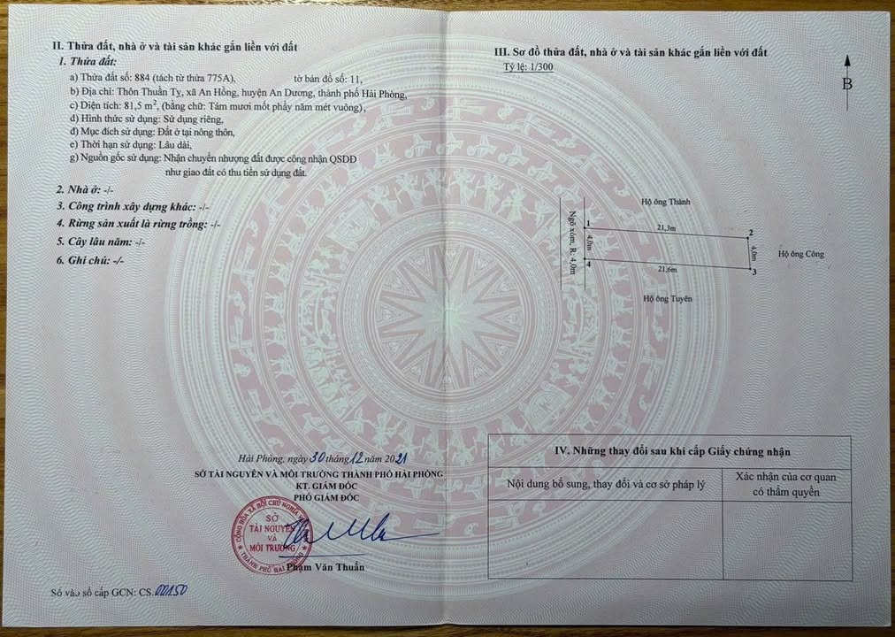 Đất mặt đường Thuần Tỵ An Hồng 80m² giá 2.1 tỷ - Kinh doanh buôn bán thuận lợi!