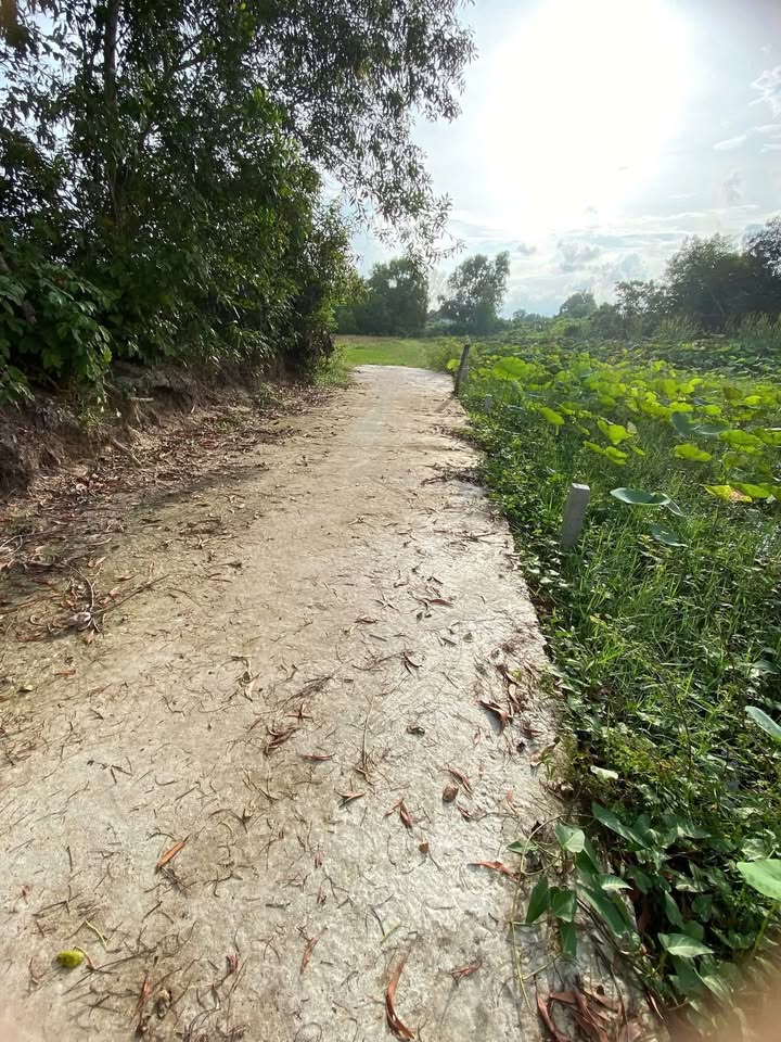 Đất nền Phước Hội Bình Thuận 130m² giá chỉ 550 triệu - Đầu tư sinh lời ngay!