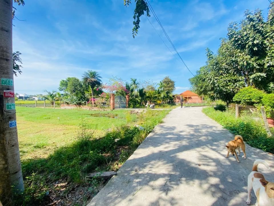 Đất ven biển Cam Bình, La Gi 640m² giá 2.2 tỷ - Đầu tư sinh lời hấp dẫn!