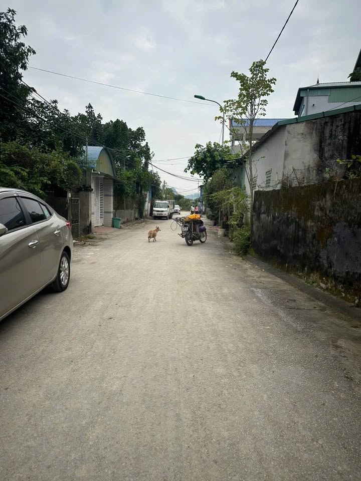 Đất nền đẹp tại Đông Cương, phường Hàm Rồng, 76m² - Giá chỉ 1 tỷ!