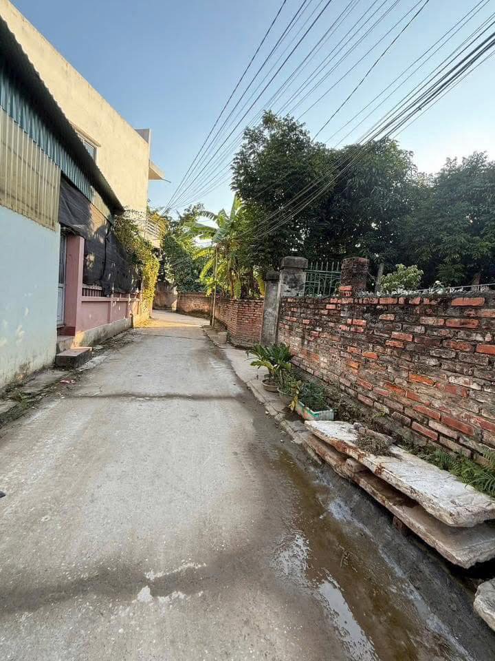 Đất nền đẹp tại khu Hồng Hải, Minh Nông 88m² giá 1.7 tỷ - Cơ hội đầu tư tuyệt vời!