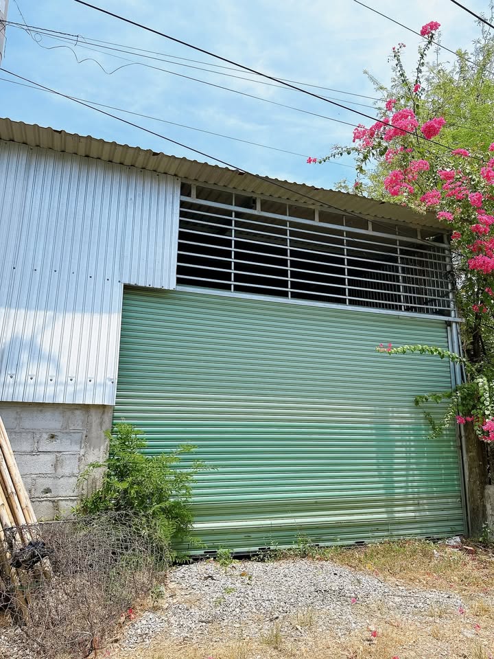 Đất thổ cư Trương Văn Ly, Ninh Sơn 241m² giá 1.2 tỷ - Kinh doanh lý tưởng!