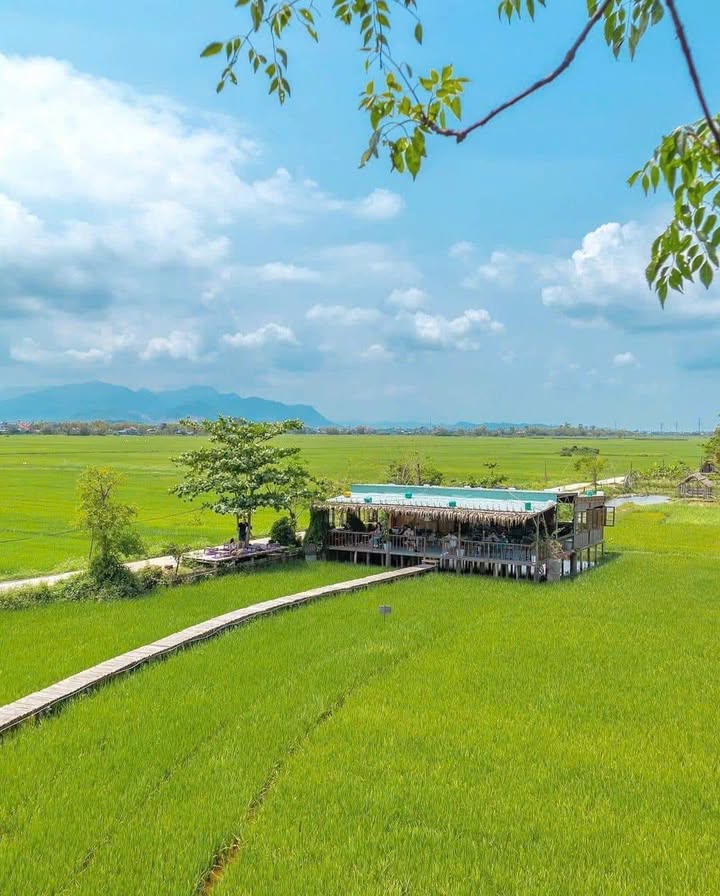 Đất nền Ninh Phước 502m² giá 390 triệu - Cơ hội đầu tư sinh lời!