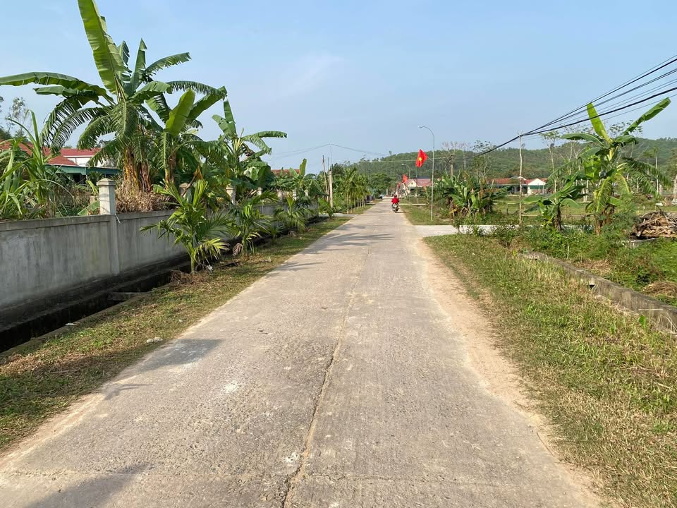 Đất nền 240m² mặt đường Hùng Thành - Đầu tư sinh lời cao!