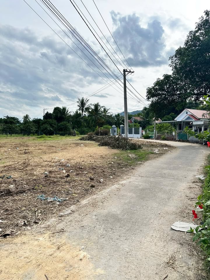 Đất thổ cư Suối Tân Cam Lâm 203m² - Vị trí đắc địa, giá thỏa thuận!