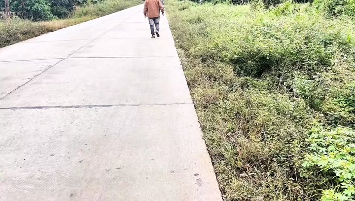 Lô đất đẹp 1.662m² tại Nam Xuân, Krông Nô giá 1.6 tỷ - Cơ hội vàng đầu tư!