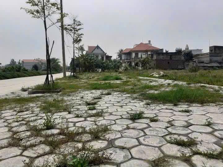 Đất đấu giá Nam Tân - Nam Sách 100m² giá thỏa thuận - Kinh doanh sầm uất!