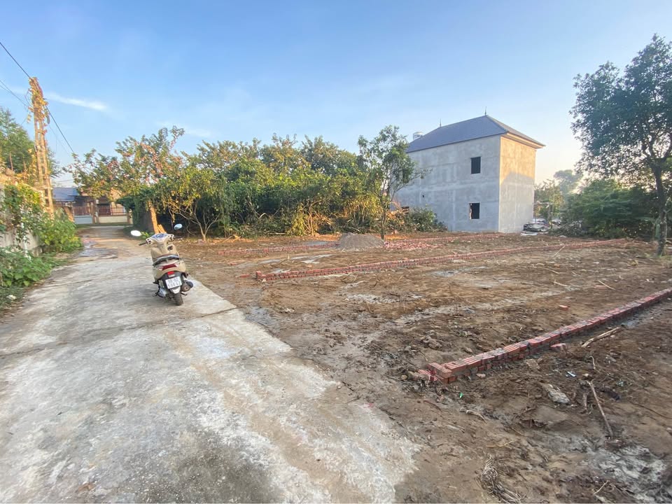 Đất nền Hiệp Hòa Bắc Giang 115.5m² giá chỉ 700 triệu - Đầu tư sinh lời ngay!