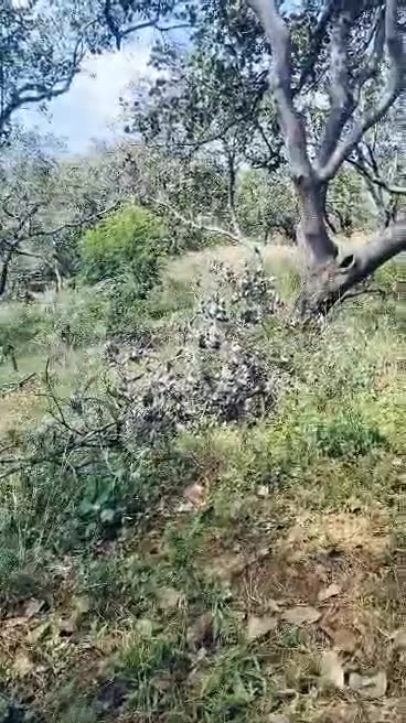 Đất nền xã Bình Minh 12.000m² giá 750 triệu - Cơ hội đầu tư hấp dẫn!