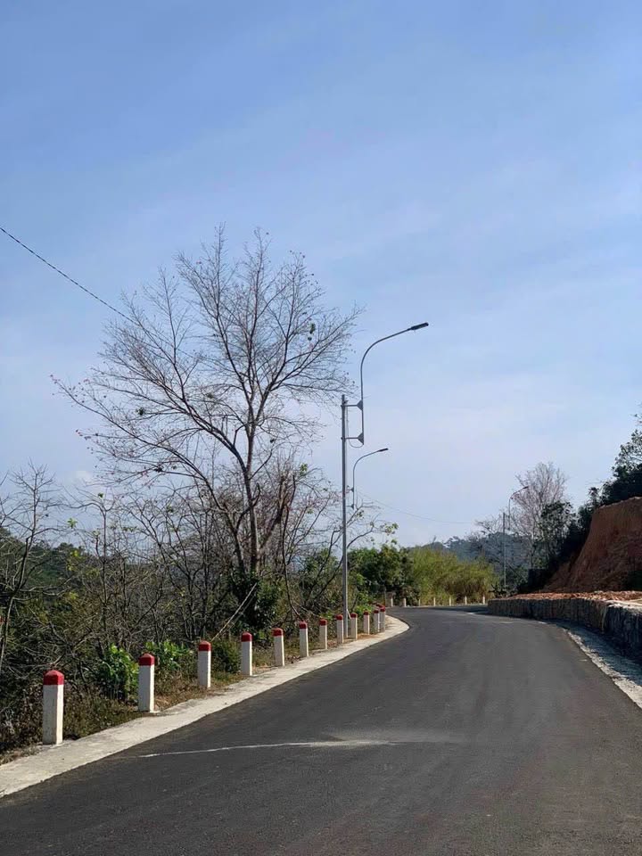 Đất thổ cư 3000m² tại Xuân Trường, Đà Lạt - Giá chỉ 9 tỷ, đầu tư sinh lời!