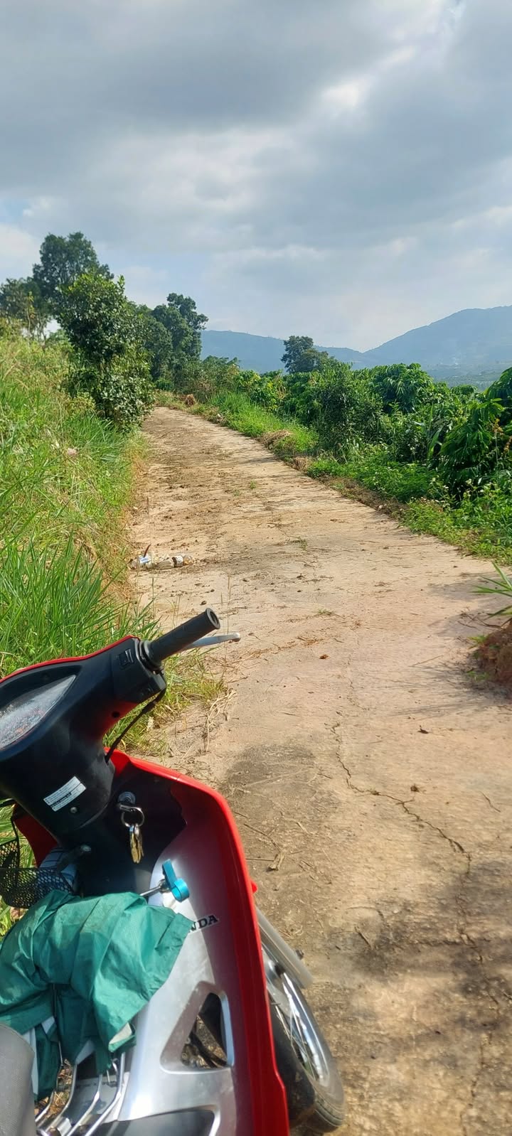 Đất nền 1538m² Thôn 6, Lộc Nam, Bảo Lâm - Giá chỉ 650 triệu, view đẹp!