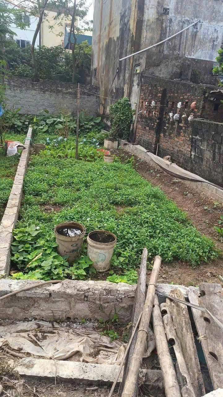 Đất Thường Tín, Hà Nội 60,5m² giá 1,98 tỷ - Cơ hội đầu tư hiếm có!