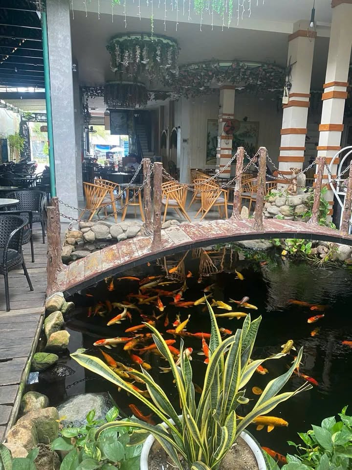 Bán nhà 3 mê mặt tiền đường Võ Văn Kiệt, An Nhơn, 241m² - Kinh doanh sầm uất!