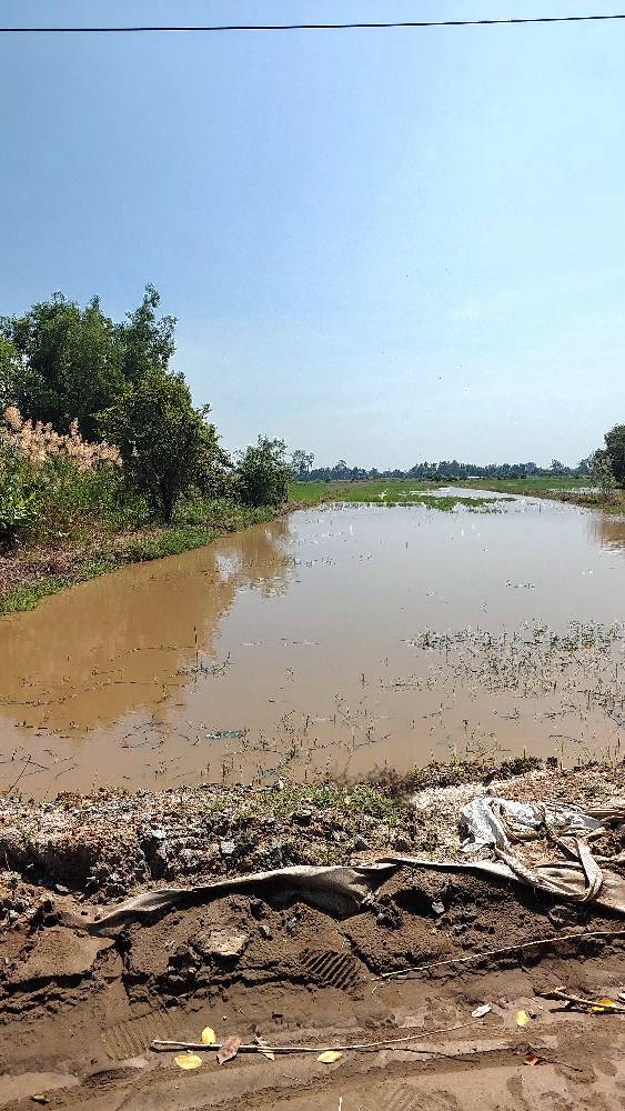 Đất nền Châu Thành, Kiên Giang 1920m² giá 2.8 tỷ - Đầu tư sinh lời ngay!