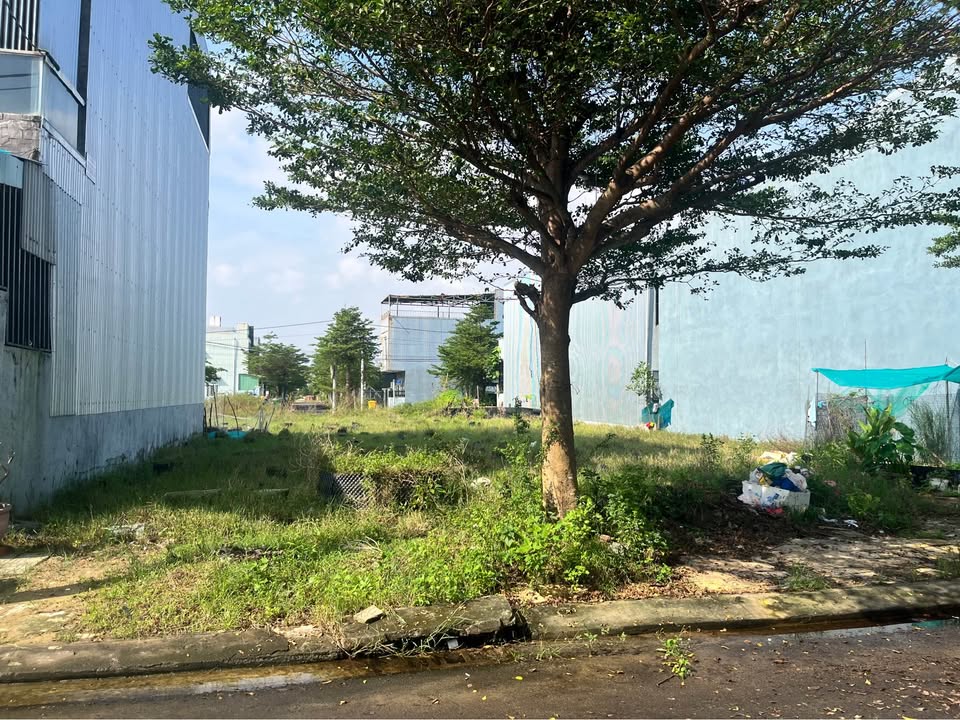 Đất khu đô thị Ngân Câu - Điện Ngọc 80m² giá 2.6 tỷ - Sổ đỏ chính chủ