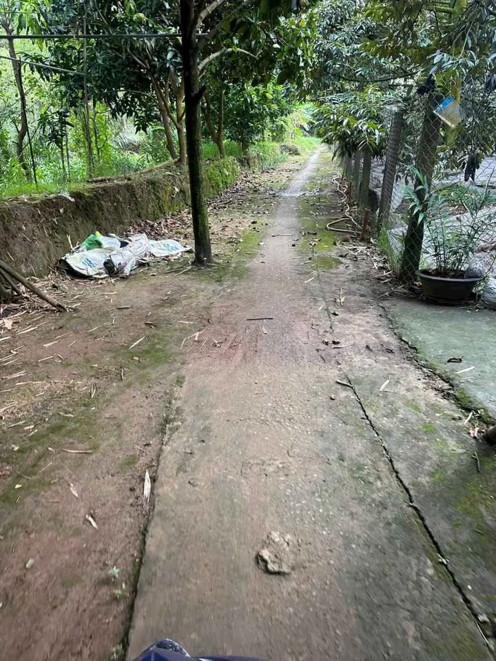 Đất nền Hòa Nghĩa Chợ Lách 3000m² giá 1.2 tỷ - Đầu tư sinh lời ngay!