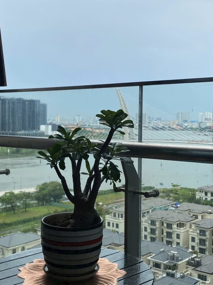 Căn hộ Vinhomes Golden River Quận 1 100m² giá 21.8 tỷ - View Sông tuyệt đẹp!