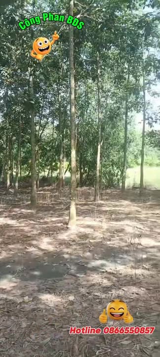 Đất nền 2 mặt tiền đường Nguyễn Thị Lan, Hoà Hiệp, Tây Ninh 2734m² - Đầu tư sinh lời cực tốt!