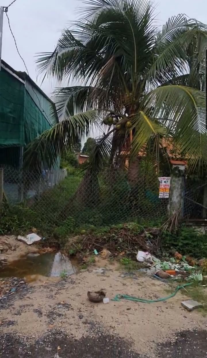 Đất nền Hòa Thành 200m² giá thỏa thuận - Sổ hồng chính chủ, gần chùa Tòa Thánh!