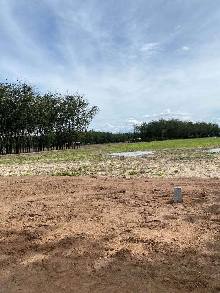 Đất Thạnh Đông 1020m² giá chỉ 270 triệu - Cơ hội đầu tư tuyệt vời!