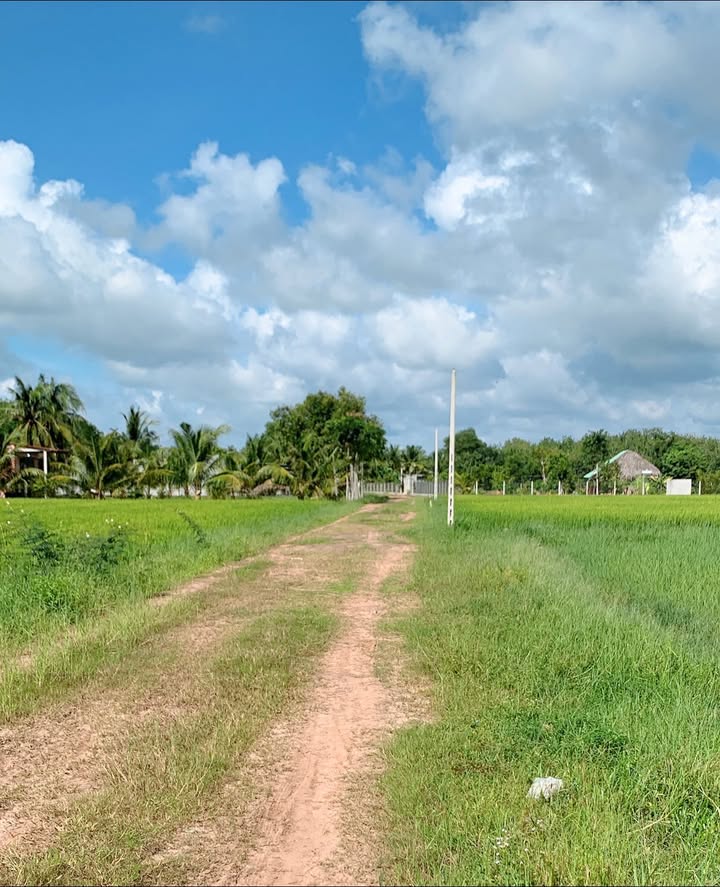 Đất thổ cư 150m² tại ấp Suối Ông Đình, Tân Biên chỉ 200 triệu - Sổ hồng chính chủ!