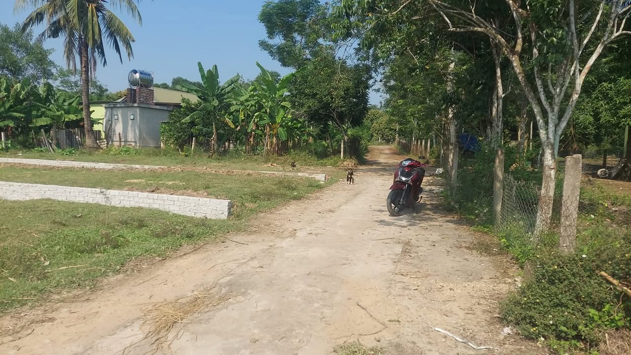 Đất nền xã Nghĩa Thành 160m² giá chỉ 2xx triệu - Đầu tư sinh lời ngay!