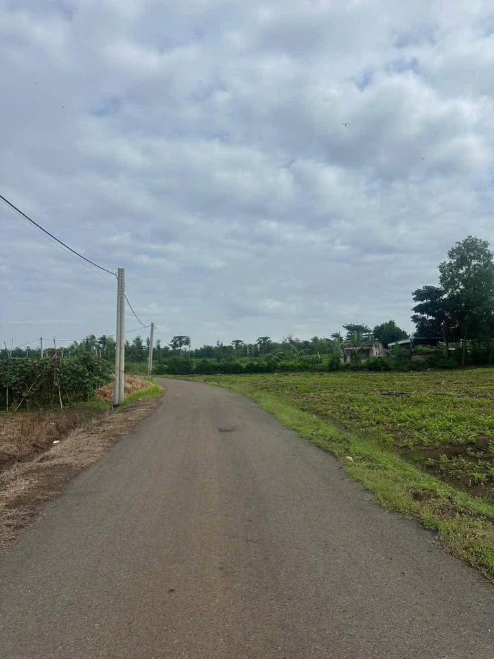 Đất nền Châu Đức 1200m² giá 1.25 tỷ - Sổ hồng riêng, mặt tiền đường nhựa