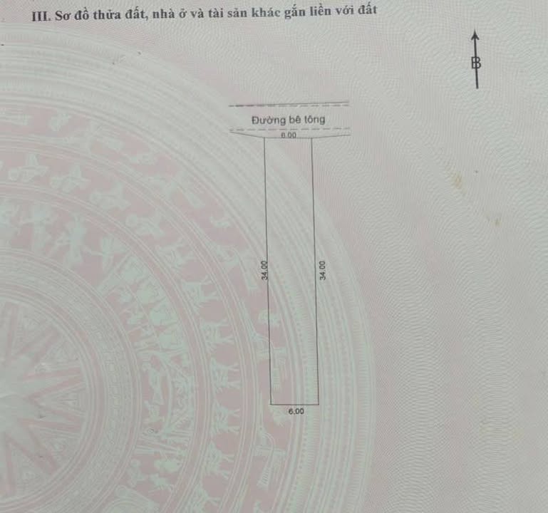 Đất Hòa Xuân 204m² giá 2.15 tỷ - Đường ô tô rộng rãi, chính chủ bán!