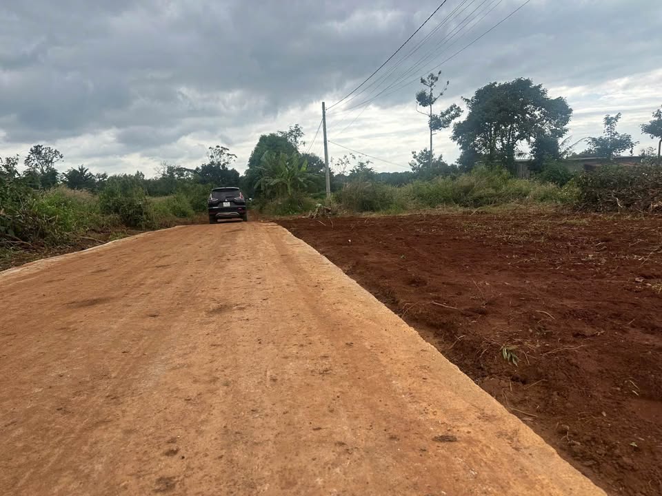 Đất nền Cư Suê 125m² giá 345 triệu - Tiềm năng sinh lời cao!