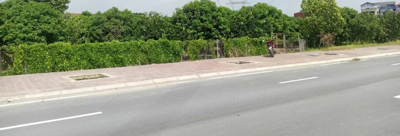 Vườn đất nông nghiệp 781m² tại Thôn Cát Thường - Đang thu hoạch trái cây ngon!