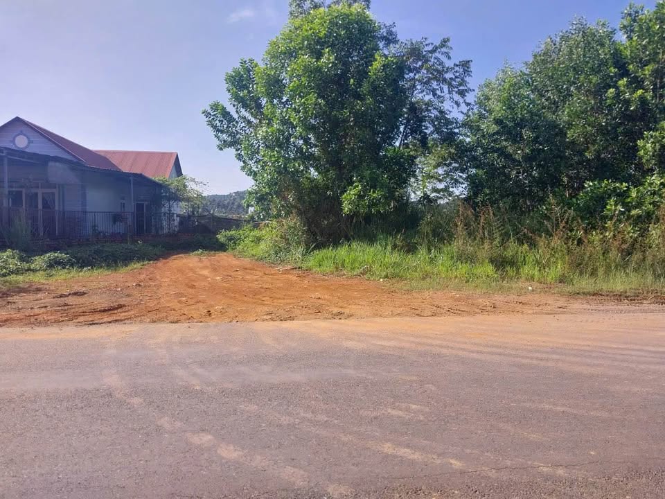 Đất cho thuê 668m² Lộc Châu Bảo Lộc - Thích hợp làm vườn ươm, nhà xưởng