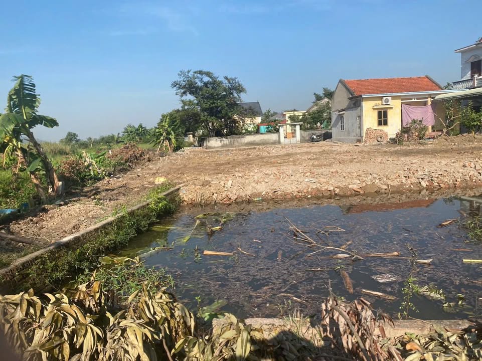 Đất vườn 650m² tại Quốc Tuấn, An Dương - Vị trí đẹp, ô tô vào tận đất!