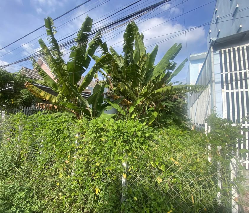 Đất thổ cư đường Vương Hồng Sển, Vĩnh Quang, Rạch Giá 173m² - Giá chỉ 2.55 tỷ thương lượng!