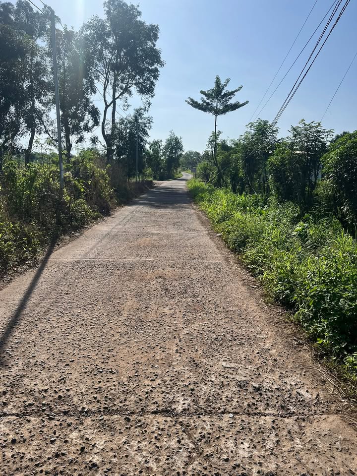 Đất nền Lang Minh Xuân Lộc 200m² giá chỉ 195 triệu - Cơ hội đầu tư hấp dẫn!