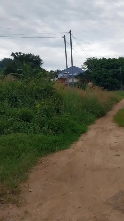 Đất nền góc 2 mặt tiền đường Huỳnh Văn Nghệ, Xuân Lộc, Đồng Nai 988m² - Giá tốt đầu tư!