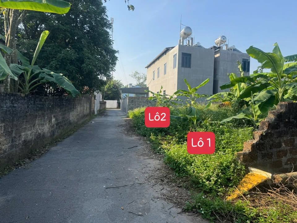 Bán đất thổ cư Hương Ngọc, Bình Xuyên, Vĩnh Phúc 127m² - 130m², giá chỉ 1.2 tỷ/lô!